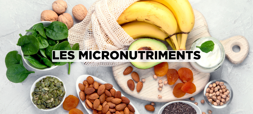 macro et micro nutriments